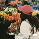 成都盛腾飞扬-王思S
