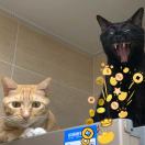 乌望望🐾