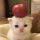 1r77xvtncwbi_QbQ-HB
