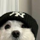 快乐小笼包