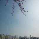 meteor_lee