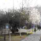 GD499159592