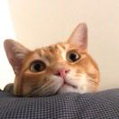 1qkun1qwr3nezORQ-HB