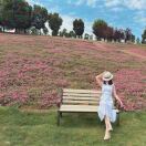 Daisy代淑君