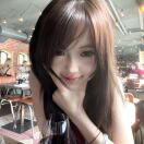 GD510581335