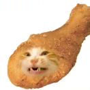 1qhj7qsj76REodjw-HB