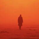 TK9CN龙猫设计师