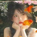 사랑해社交女悍匪以定金预