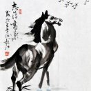 枫林木