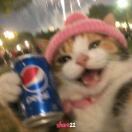 正一哼