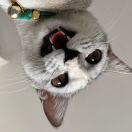Frederik_Trantow82