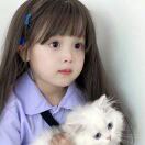 起司奶洛芙