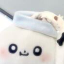 Artemis减肥ing