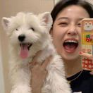 wuli梧桐树💕