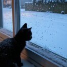 1qep60eqbytyFHWg-HB