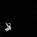 GD137778324