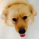 周颖珏