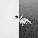 1r3dxys8ij-FyjlA-HB