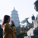 瓶子林