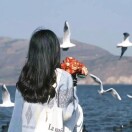 🌺花开满9相爱