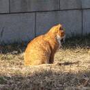 若溪78574