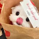 GD944195846