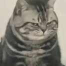 醉饮清风丶