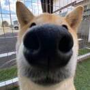1qjs0m5ba76yNiPw-HB