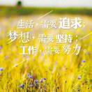 1qhd9xaxf6PEEgdw-HB