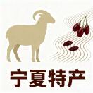 张金满
