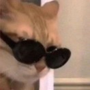 1qzzo0fhj0aoOtiw-HB
