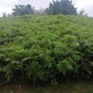 算力我最牛