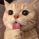 1qwus8bthwUY4l7A-HB