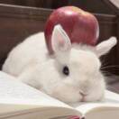 望舒55779