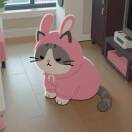 织梦小林