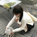 铃纪音槐序