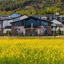 山水君澜