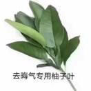 A 慧慧低糖