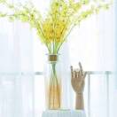 金洋～财务对单～不转账不收款