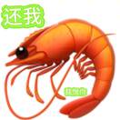 小羊卷儿-源