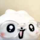 星星鸡排饭
