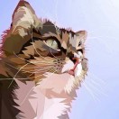～√隐身☆
