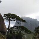 Muorang