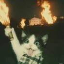 A高中化学汪老师