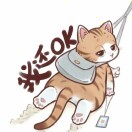 1qx7v2kszd7Kvnyg-HB