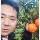 不忘农心suilin