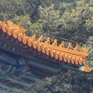 金勺