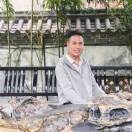 白晓仿