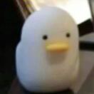 顽强极小炸鸡🐥
