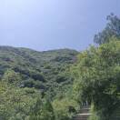 1qvbwcisg246wdsA-HB